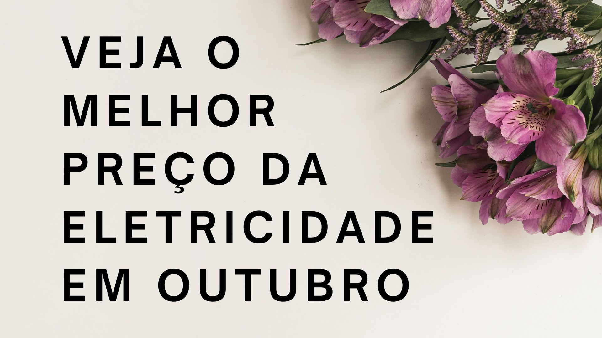Veja o Melhor Preço da Eletricidade em Outubro Veja o Melhor Preço da Eletricidade em Outubro